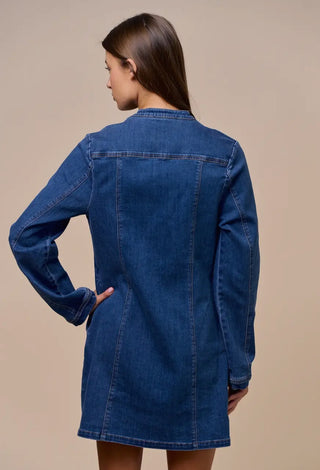 Emerson Denim Dress